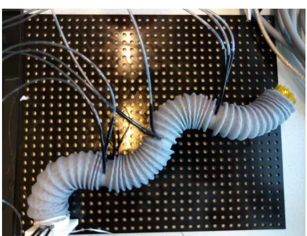 Figure 1.1: Representation of the soft robotic endoscope from the current study, which behaves rathersimilar to a tentacle of the octopus.