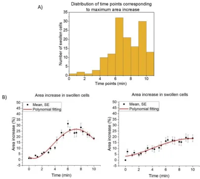 Figure 3.4: Differences in swelling.In panel A the graph is showing how manyswollen cells reached their maximum increase in a speciﬁc time point.All swollen cells, in the ten experiments, were taken in consideration.In panel B the two graph, obtained from 