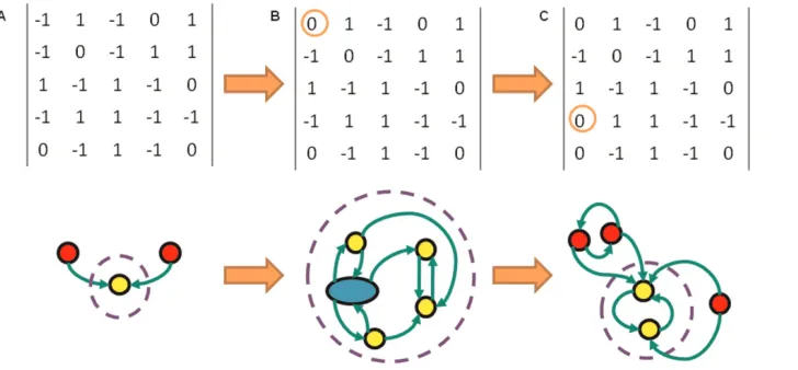 Figure 8. Sequence of Ergodic Sets and their Networks Modelling Stem Cell Differentiation