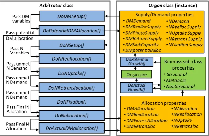 Fig. 4. Schematic showing procedure for biomass partitioning arbitration. Orange boxes contain properties that make up the organ/arbitrator interface