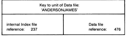 Figure 2-1: Structure of an Item in the Index File 