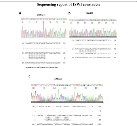 Fig. 6 a Sequenced pAc-sgRNA-Cas9ISWI21 (356–380). b Sequenced pAc-sgRNA-Cas9ISWI22 (356–380)