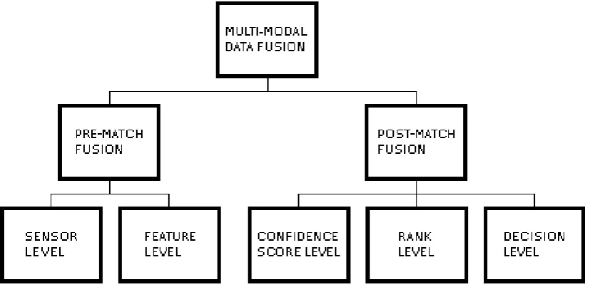 Figure 2.5: Data Fusion Levels In Multi-Modal BiometricsThe image was sourced from Poh and Kittler, (2008).