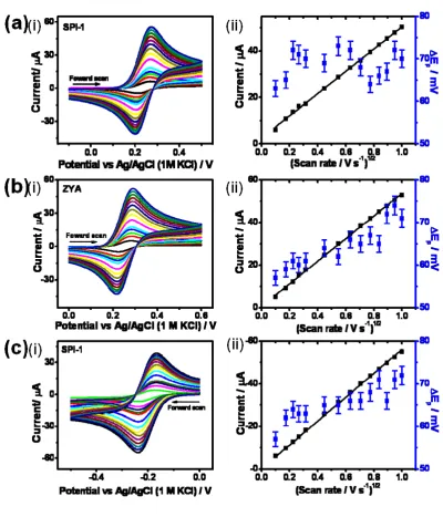 Figure  2  
