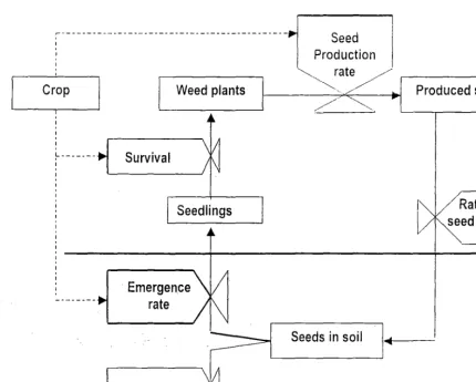 Figure 2.3. 