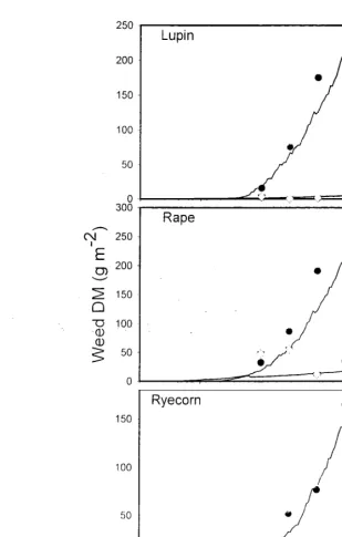 figure 4.5. The effect of crop density on the dry matter (Olvl) acculllulation of \veeds