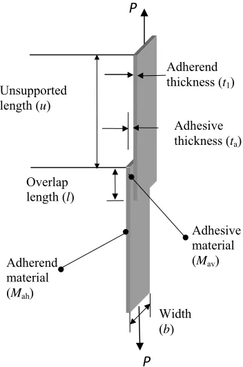 Figure 2  Page 29  