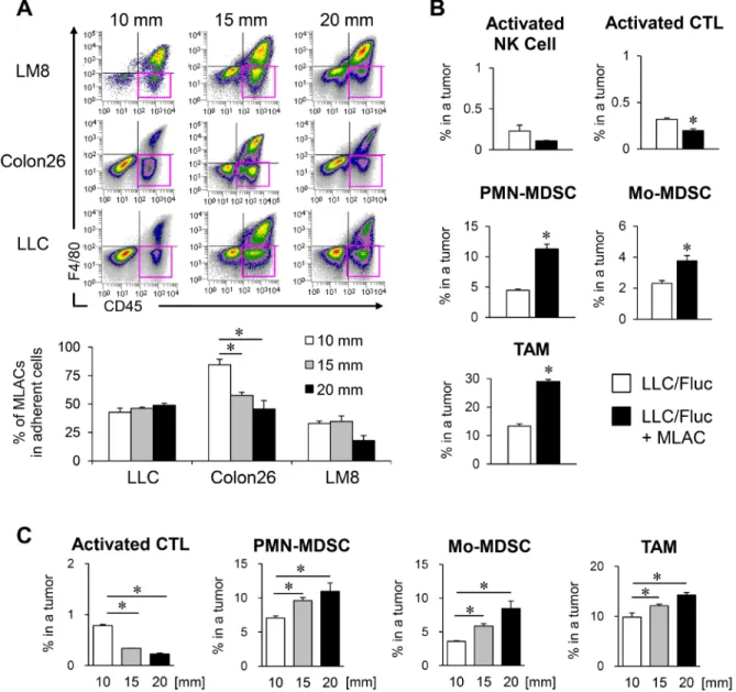 Figure 6: MLACs contribute to MDSCs migration into a tumor tissue.  (A) The frequency of MLACs in tumors