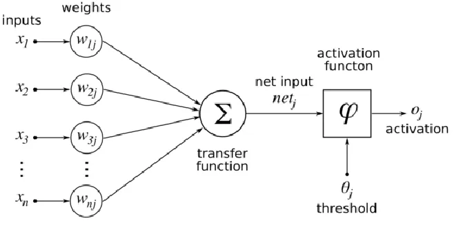 Figure 2.2 The artificial neuron structure. 