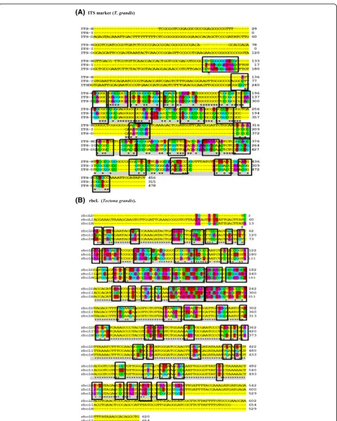 Fig. 8 Multiple sequence alignment screening single nucleotide polymorphism (SNP) highlighted in squares in T
