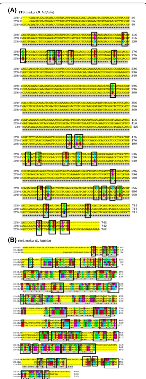 Fig. 7 Multiple sequence alignment screening single nucleotidepolymorphism (SNP) highlighted in squares in D