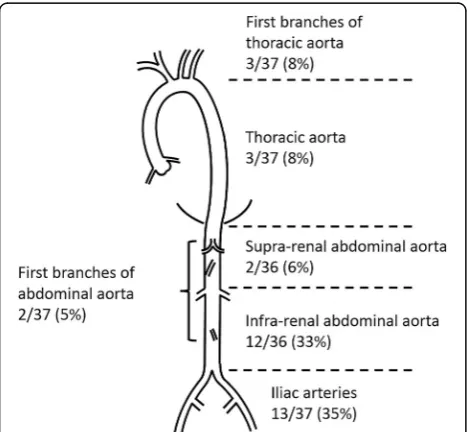 Table 2 Summary of vascular lesions