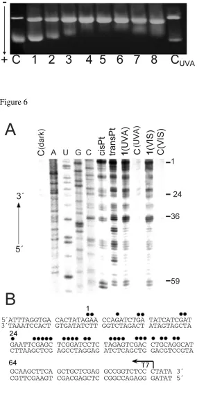 1415Figure 6 1617