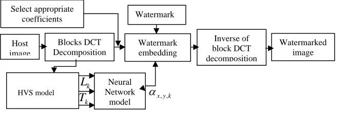 Fig. 1.  Embedding process based on the Human Visual System and Neural Network model 