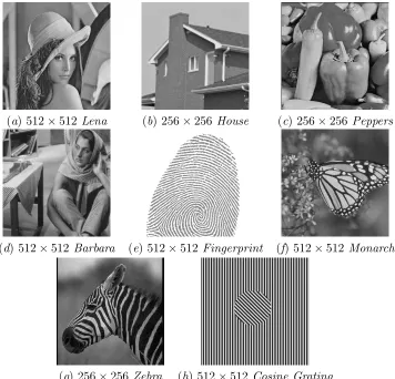 Figure 5: Test Images used in Our Experiments
