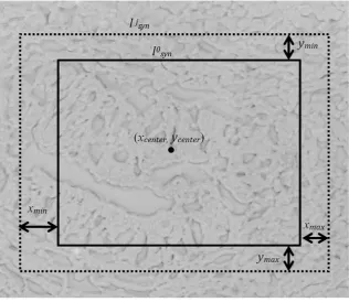 Figure 3. Construction of a synthetic data set Isyndistributed random shiftsGaussian blurring are also introduced randomly in 50% of the images to mimick the random perturbations in pixel intensities during the imageacquisition process (The image here has 