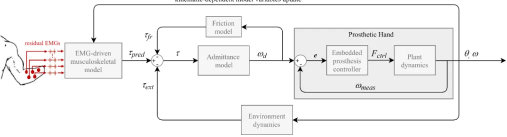 Fig. 1. Proposed control framework composed of the EMG-driven MS model, the admittance model coupled with a joint friction model and the prosthetichand itself