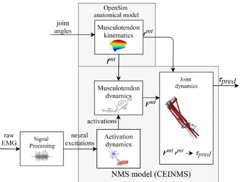 Fig. 3.EMG-driven MS model calibration is performed by comparingpredicted torques (τpred) with experimental torques (τexp) obtained fromprosthetic commands.