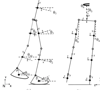 Figure 1. Stick ﬁgures showing the angles in theis not shown in the frontal plane (a) sagittal and (b) frontal planes