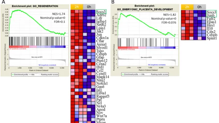 Figure 3: Gene set enrichment analysis (GSEA) identified regeneration and embryonic placenta development processes  were activated at 2 h after PH