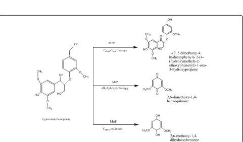 Fig. 2 Lignin peroxidase-catalyzed oxidation of lignin model compound (veratrylglycerol beta-guaiacyl ether)