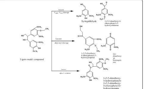 Fig. 4 The laccase-catalyzed reaction of phenolic β-1 lignin model compound