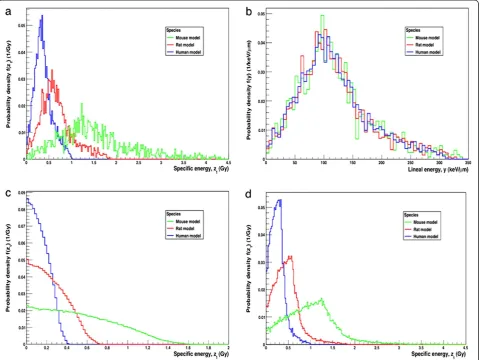 Figure 7 Probability distributions for the art-specific thyroid follicle models. (a) Single-hit specific energy distribution, f(z1), for the mouse,rat and human models per 211At decay that hits the target nuclei with 211At homogeneously distributed within 
