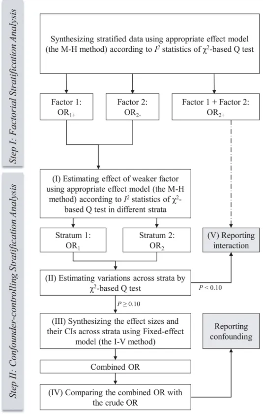 Figure 2: Flow diagram of the process of standard stratification analysis in meta-analysis.