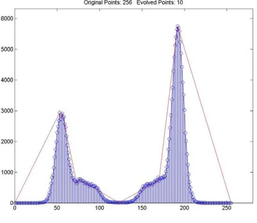 Figure 1: Example of Histogram 