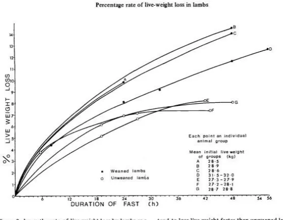 Figure 2.3: Percentage of live weight loss from initial live weight of weaned and unweaned lambs during fasting