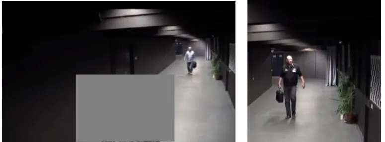 Figure 2.1. Screenshots of the example video 1       
