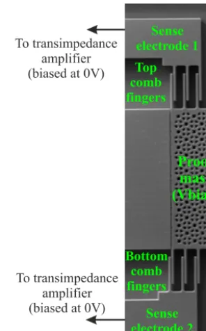 Figure 4. An SEM image of one pair of comb ﬁngers attached to theproof mass of resonator 1 for vibration motion sensing