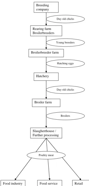 Figure 1. Overview of the poultry production chain (example for broilers). 