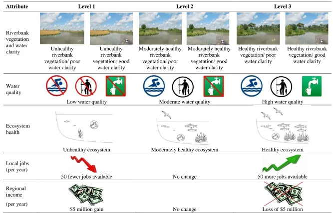 Table 3.4 Visual representation of attribute levels 