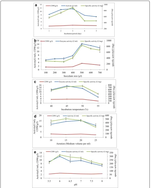 Fig. 4 Effect of incubation period (a), inoculum size (b), incubation temperature (c), medium volume in 100 ml conical flask (d), and different pHvalues (e) on α-amylase production by Bacillus sp