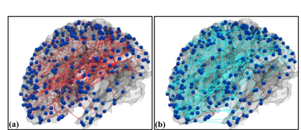 Fig. 3.3. Group-wise stable functional pathways inferred from emotion tfMRI data. The  358  DICCCOL  ROIs  are  visualized  on  the  cortical  surface  as  dark  blue  spheres