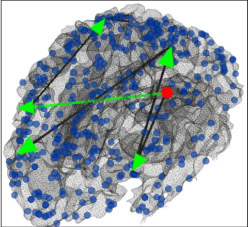 Fig.  3.5  Visualization  of  the  continuous  positive  functional  pathways  starting  from  ROI#80  (red  dot)