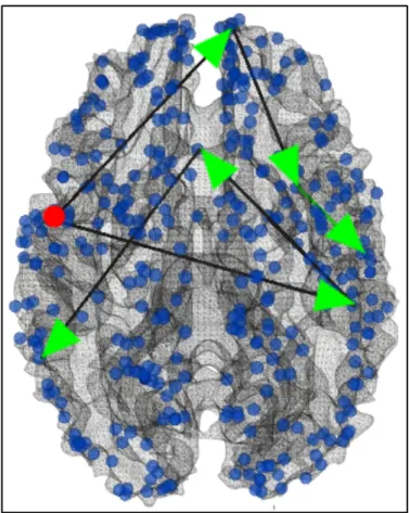 Fig.  3.7  Visualization  of  the  first  group  of  continuous  negative  functional  pathways  starting  from  ROI#180  (red  dot)