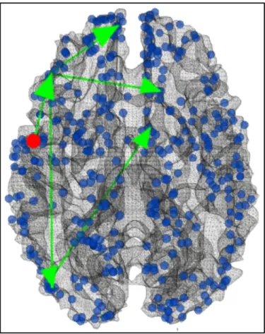 Fig.  3.8  Visualization  of  the  second  group  of  continuous  negative  functional  pathways  starting  from  ROI#180  (red  dot)