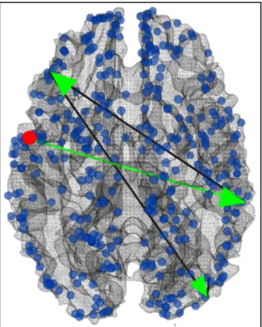 Fig.  3.9  Visualization  of  the  third  group  of  continuous  positive  functional  pathways  starting  from  ROI#180  (red  dot)