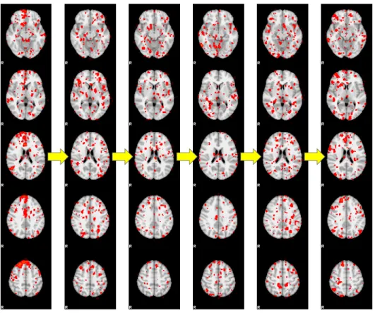 Fig.  5.1.  One  sample  functional  network  pathway  inferred  from  the  positive  functional  connectivity strength dynamics of a randomly-selected subject