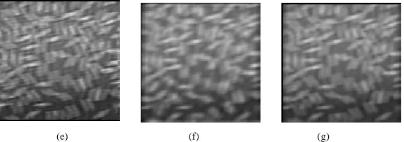 Fig. 2 Rice image with size (128  128) (a) Original image (b) Blur noisy  image (c) Wiener filter with ratio R (d) Blind deconvolution  N = 5 (e) Blind deconvolution N = 10 (f) Fused image_1 (g) Fused image_2 