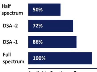 Figure 2. Resource level DSA method used in simulations.