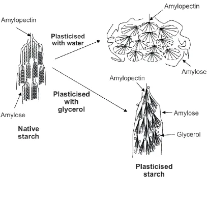 Fig. 10 – Xie et al. 