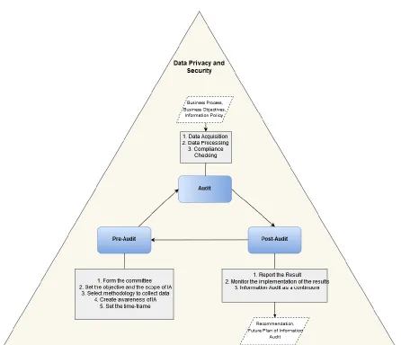 Figure 6. The Information Audit Triangle 