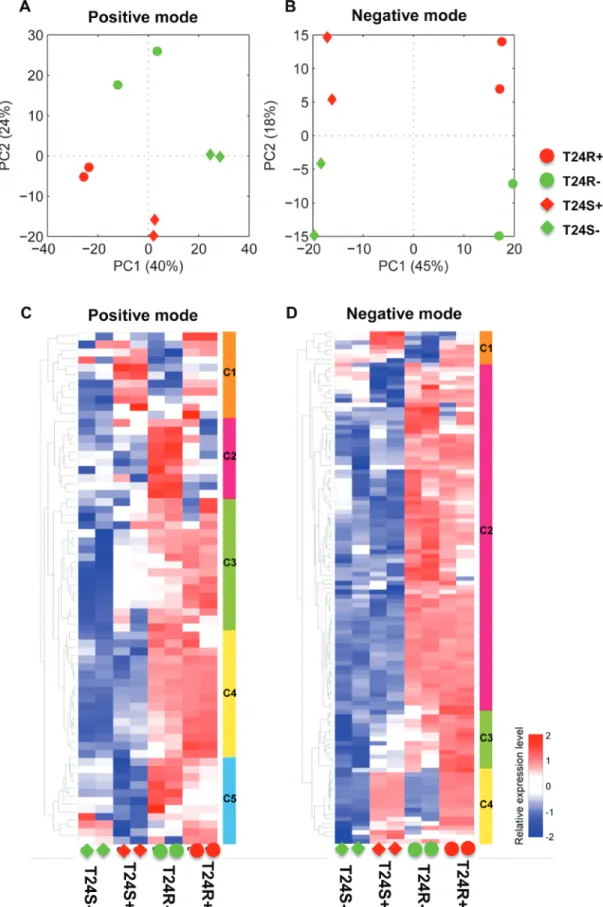 Figure 2: Differentially expressed lipids in T24R compared to T24S.  (A–B) Principal component analyses (PCA) of lipid 