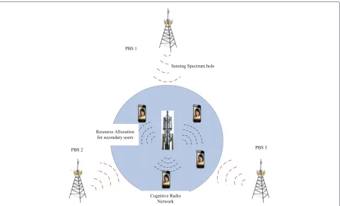 Figure 1 The cognitive OFDM system with multiple primary networks.