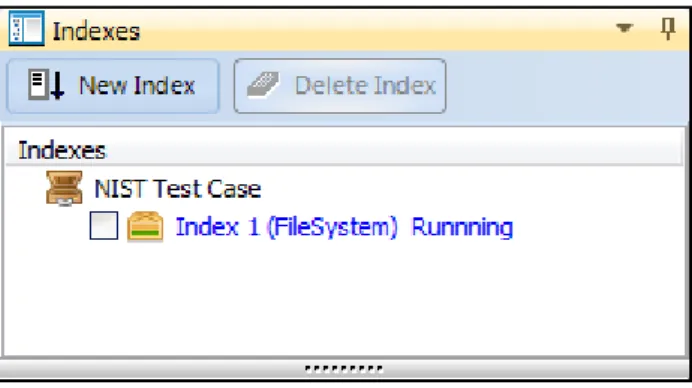 Figure 137 - Forensic Explorer process window showing a completed index 