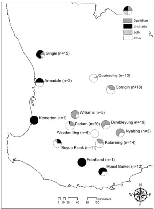 Fig. 2. Prevalence of Uncinaria stenocephala and Dipylidium caninum from red foxes at each sampling location.