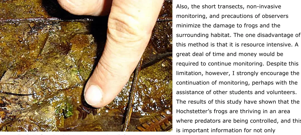 Fig. 5 - My finger is pointing to a tiny green juvenile frog 